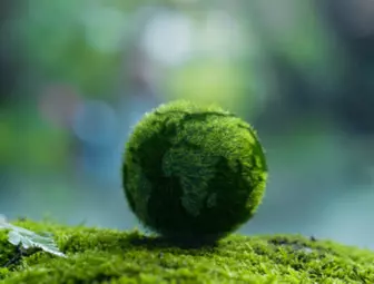 Sustainability