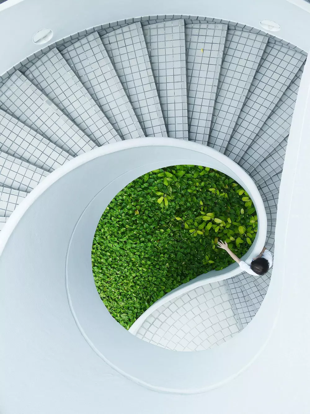 How will we build and grow startups after Covid-19? An expert Q&A with Ash Phillips, Yena