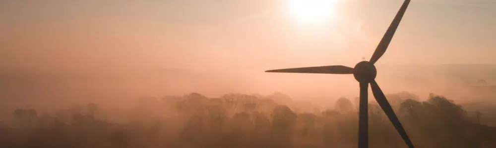 Could cutting your carbon, cut your costs?