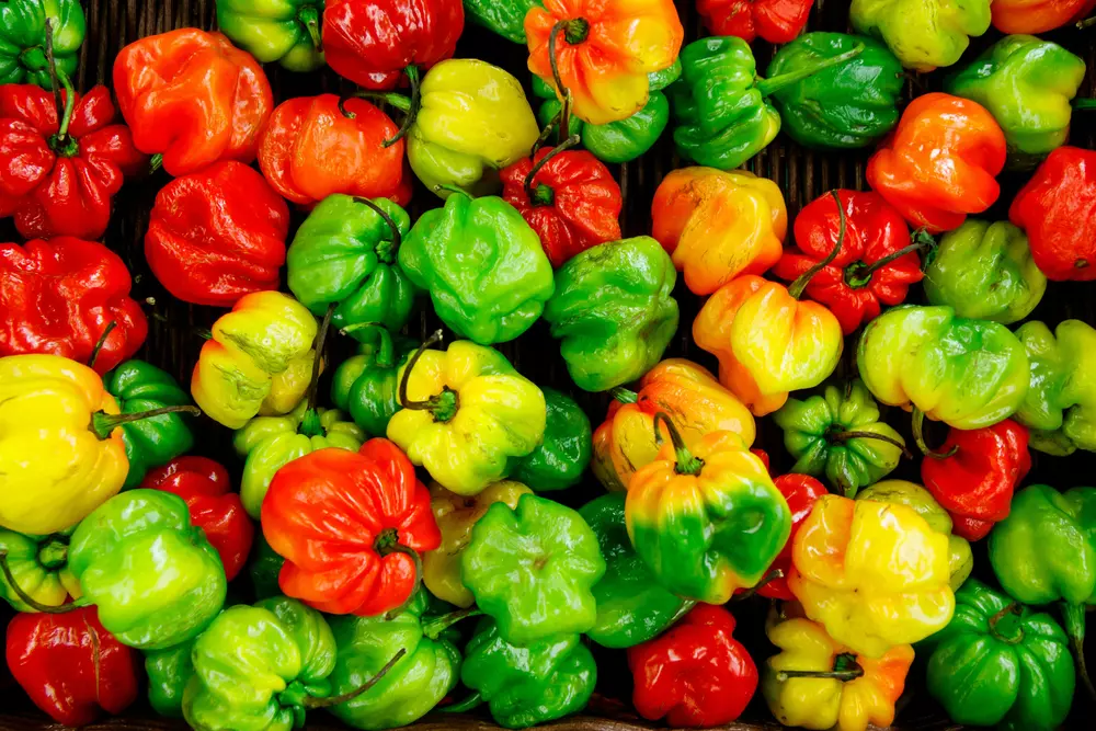 Essential conditions for food business compliance in Covid-19 – An expert Q&A with Brian Humphreys, Food Safety Assist